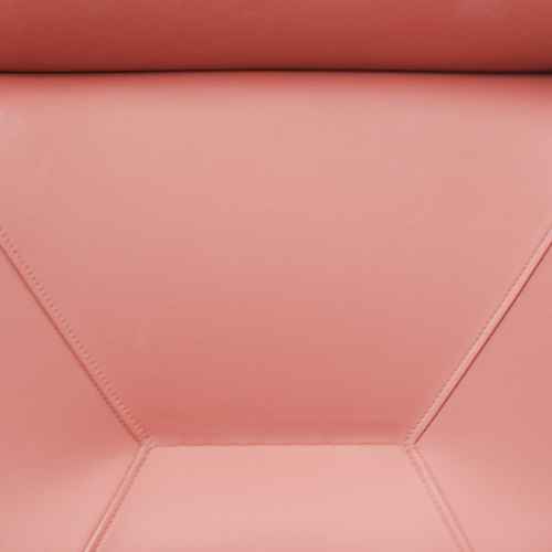 生地表面:レッド(レザー)